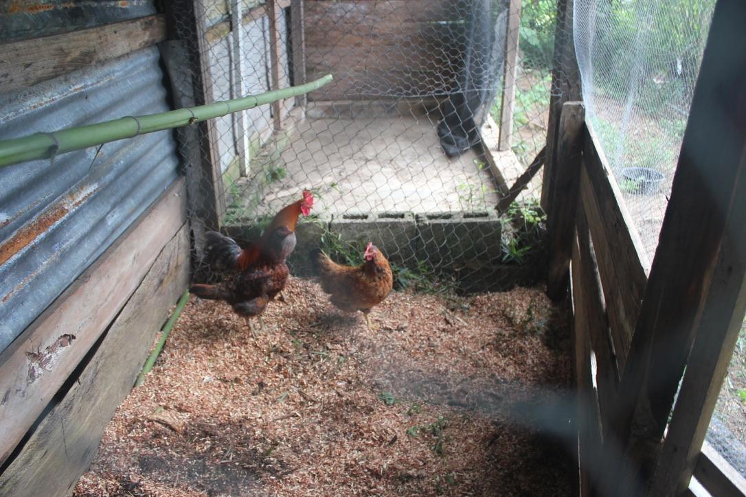 Property Image 5