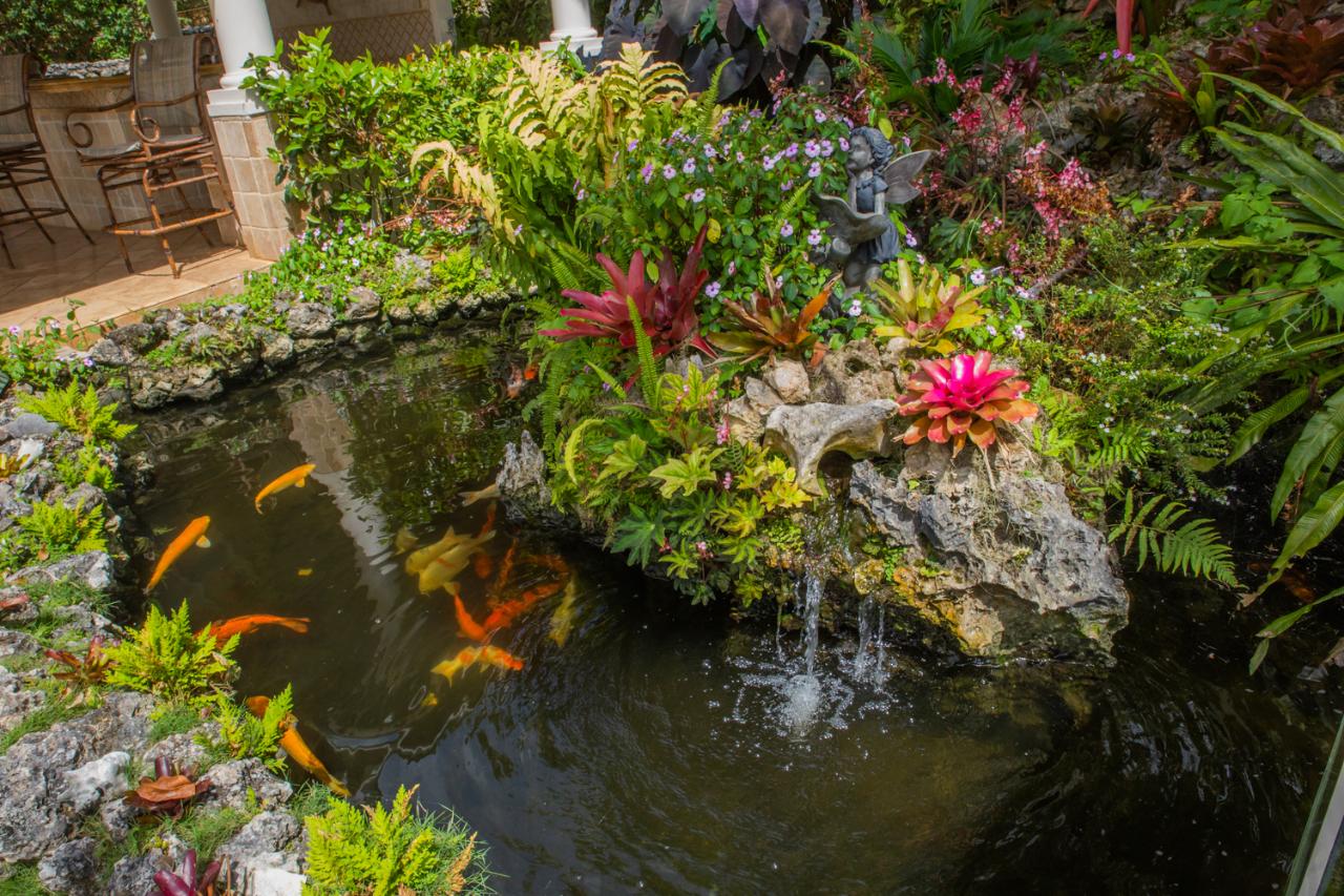 Property Image 50