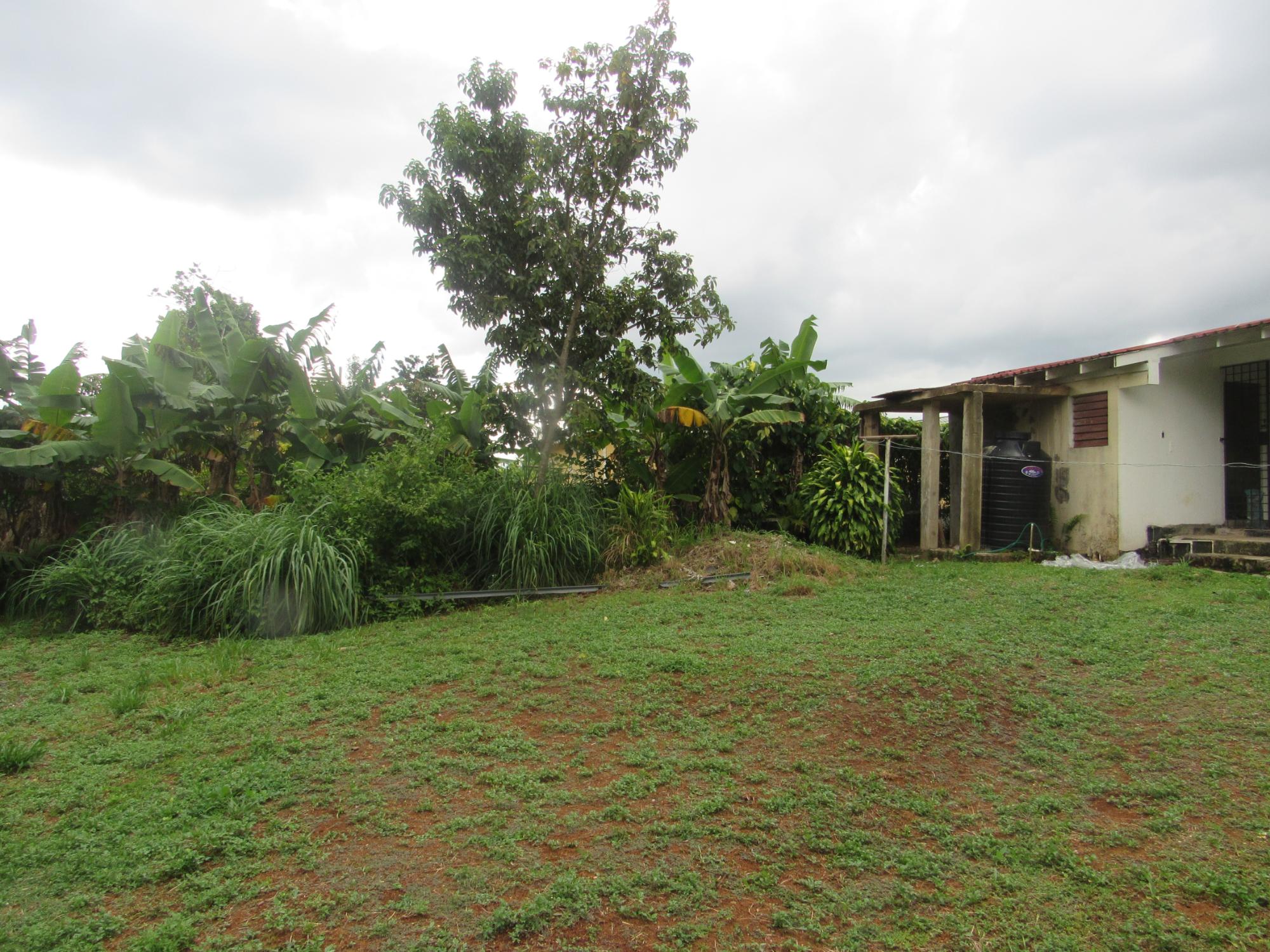 36 Sheridan Drive