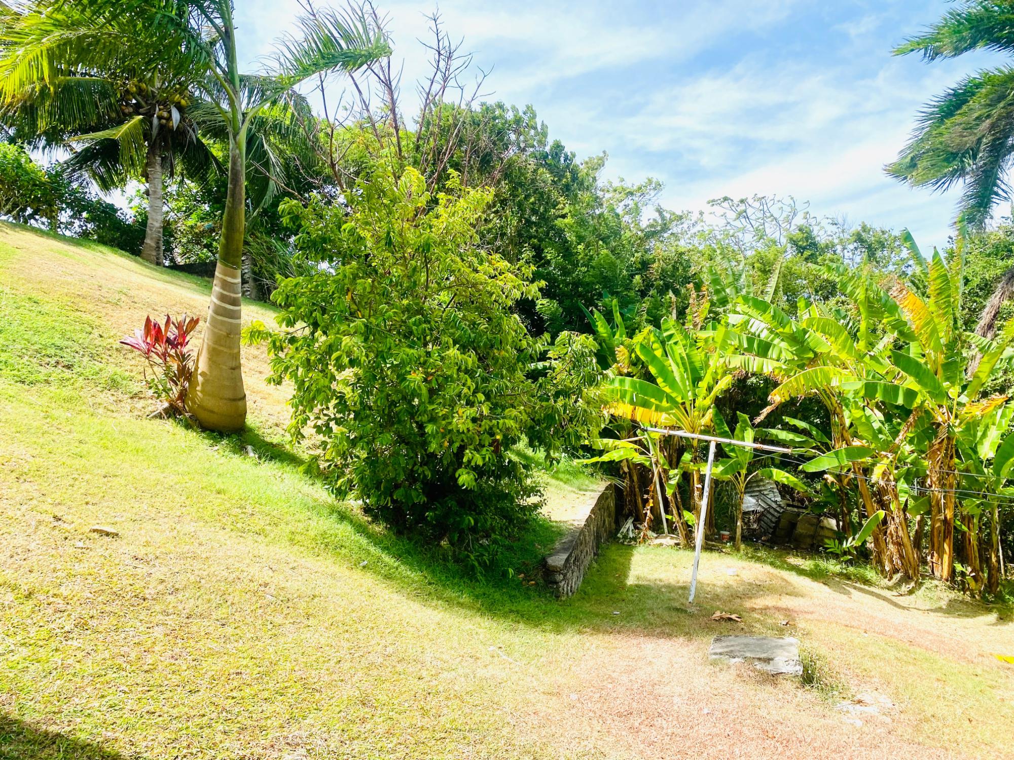 Property Image 67