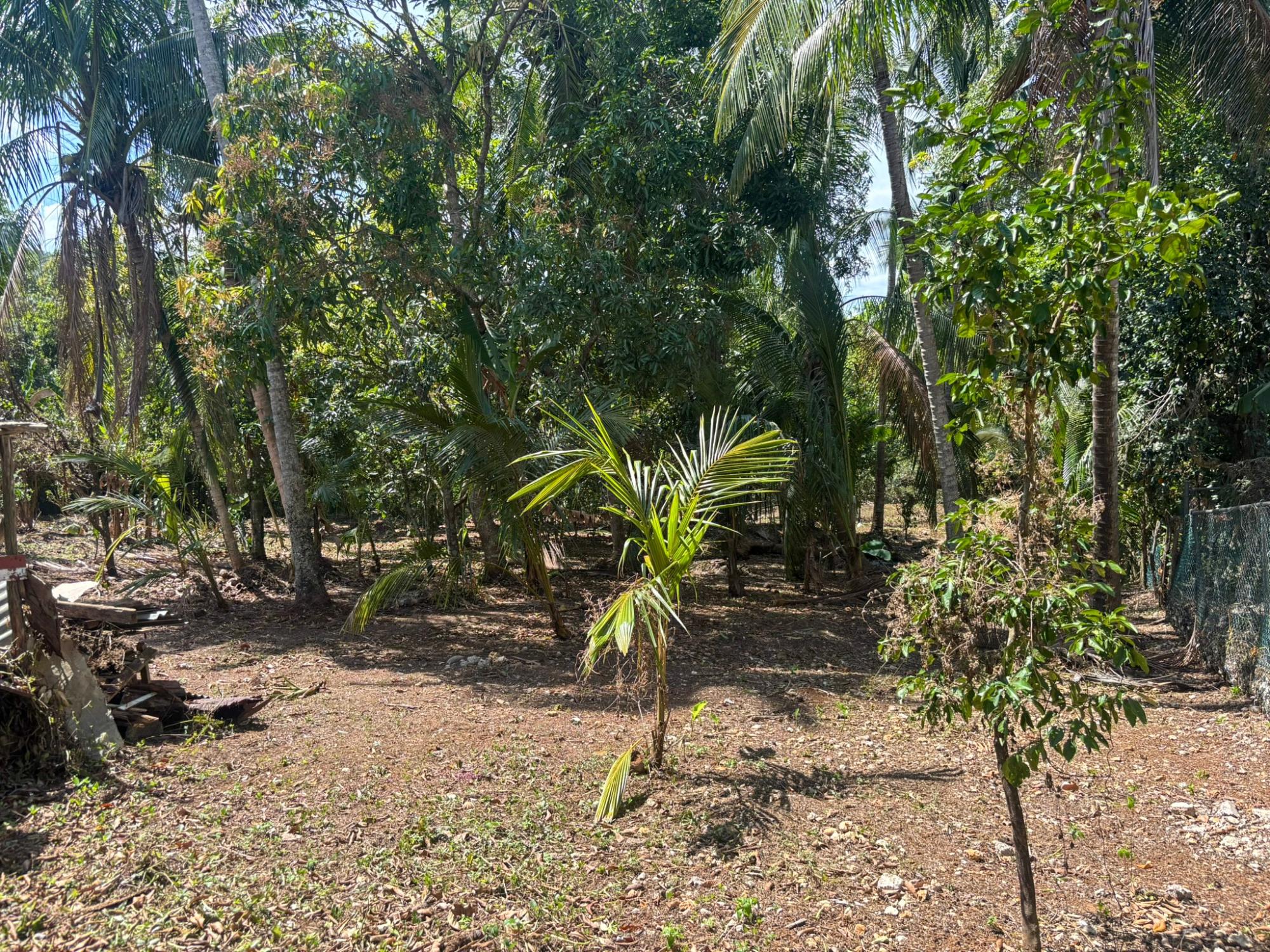 Property Image 18