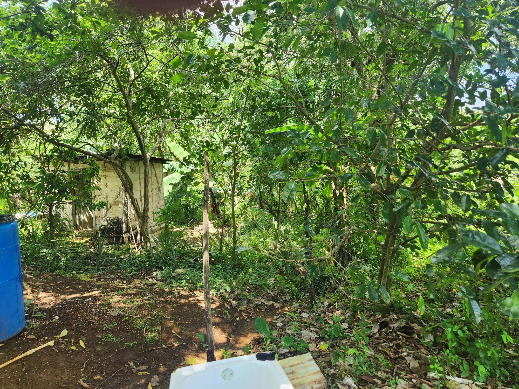 Property Image 6
