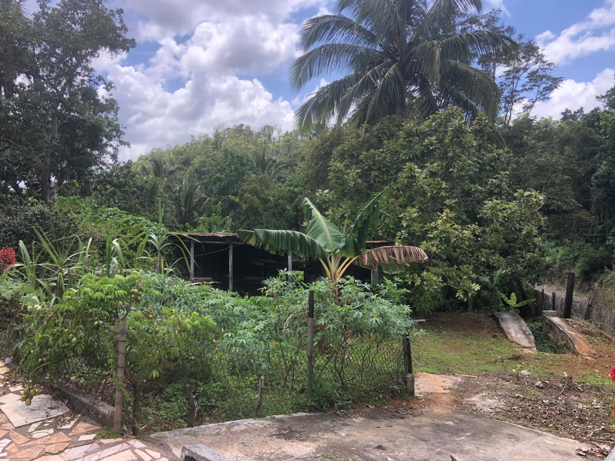 Property Image 38