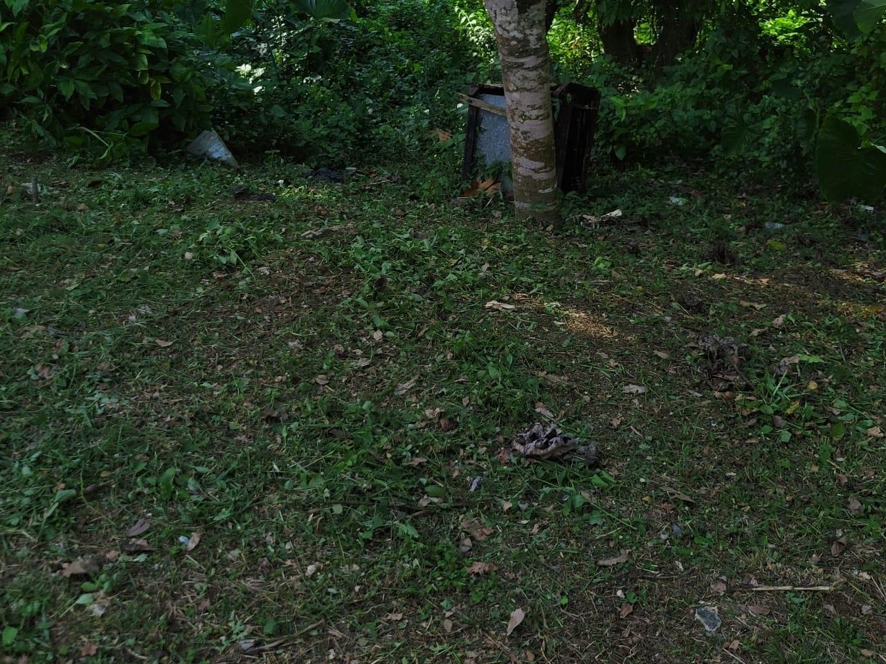Property Image 20