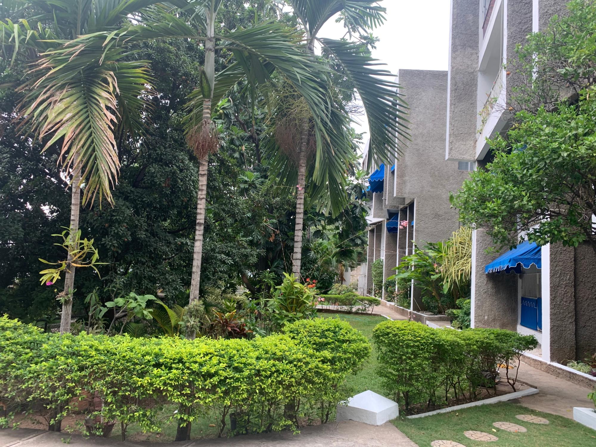 96B Old Hope Road 58