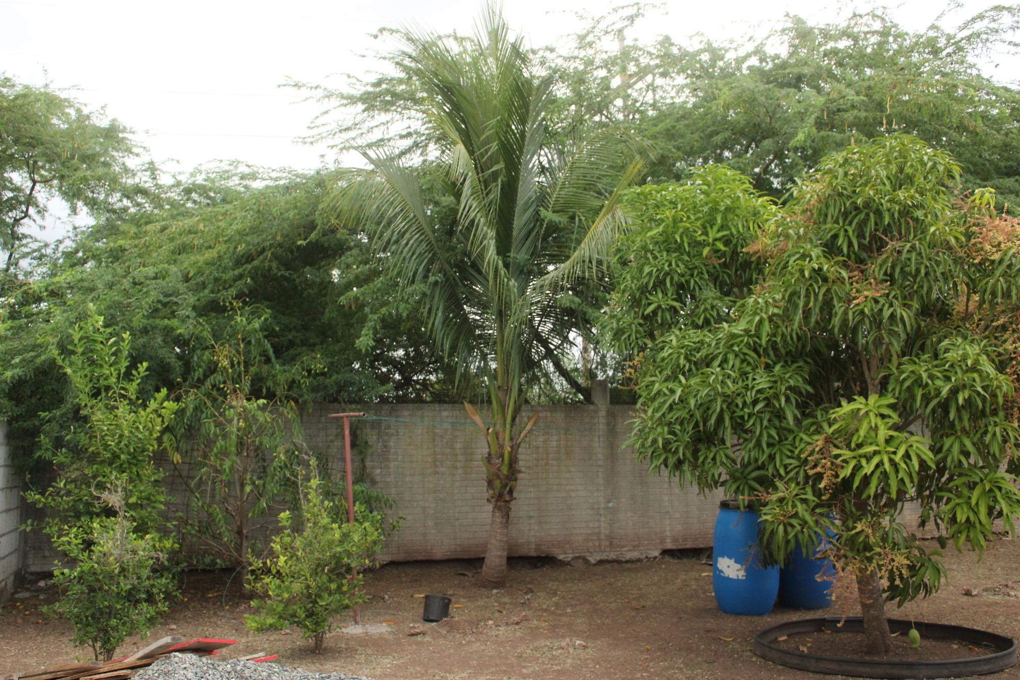 Property Image 24