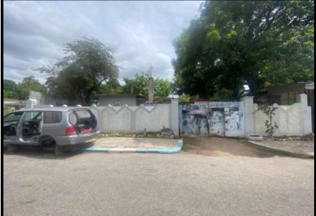 Waltham Park, Kingston 11