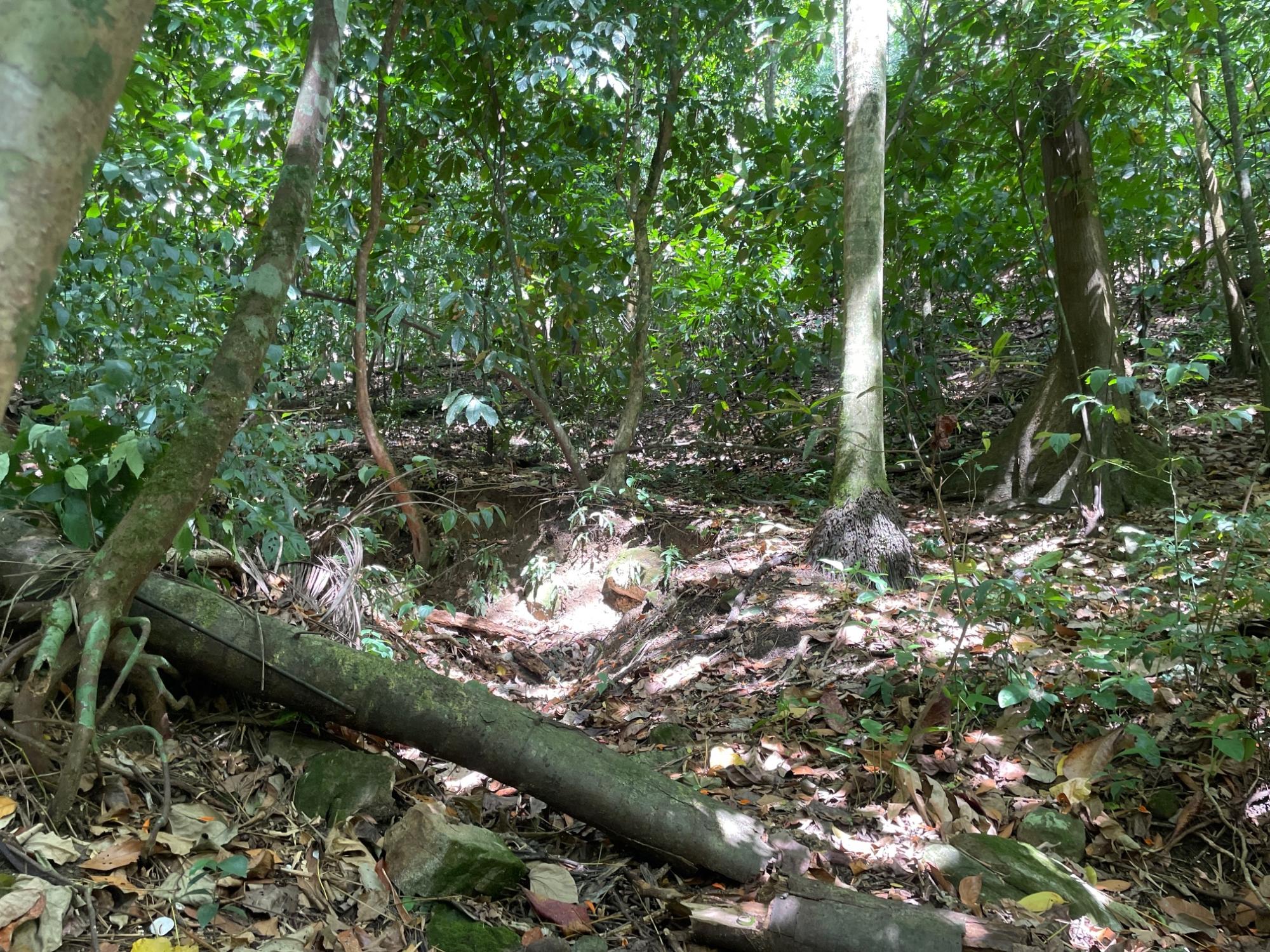 Property Image 4