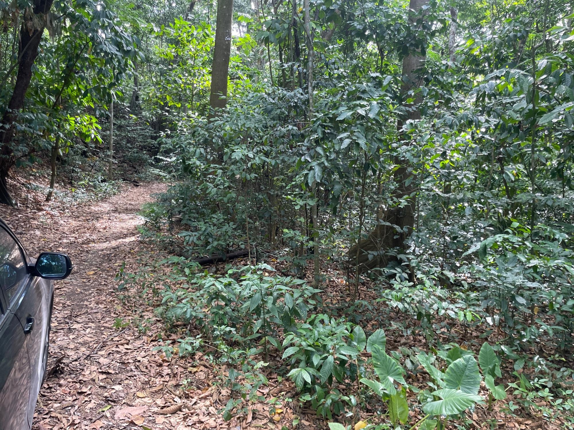 Property Image 9