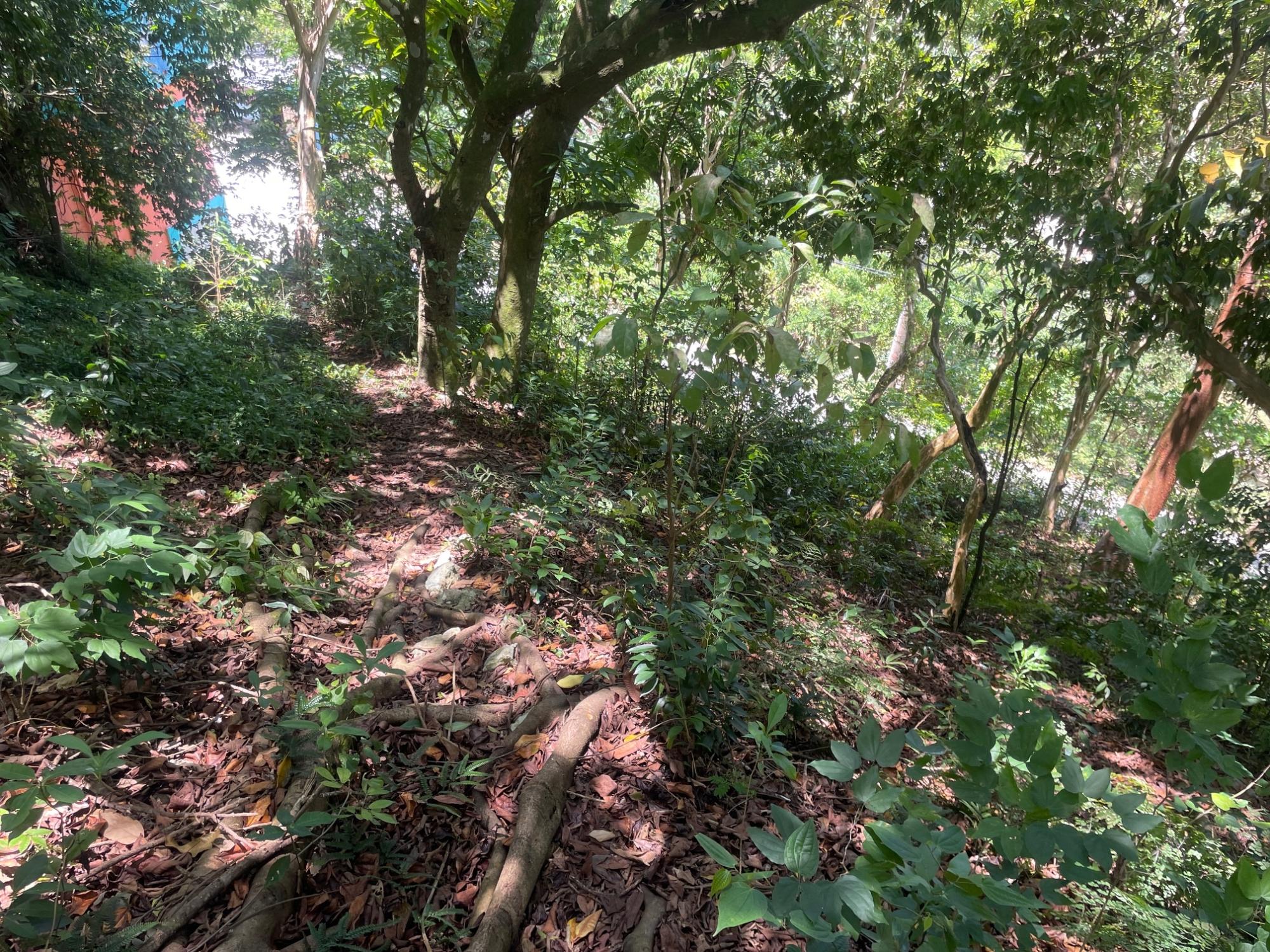 Property Image 9