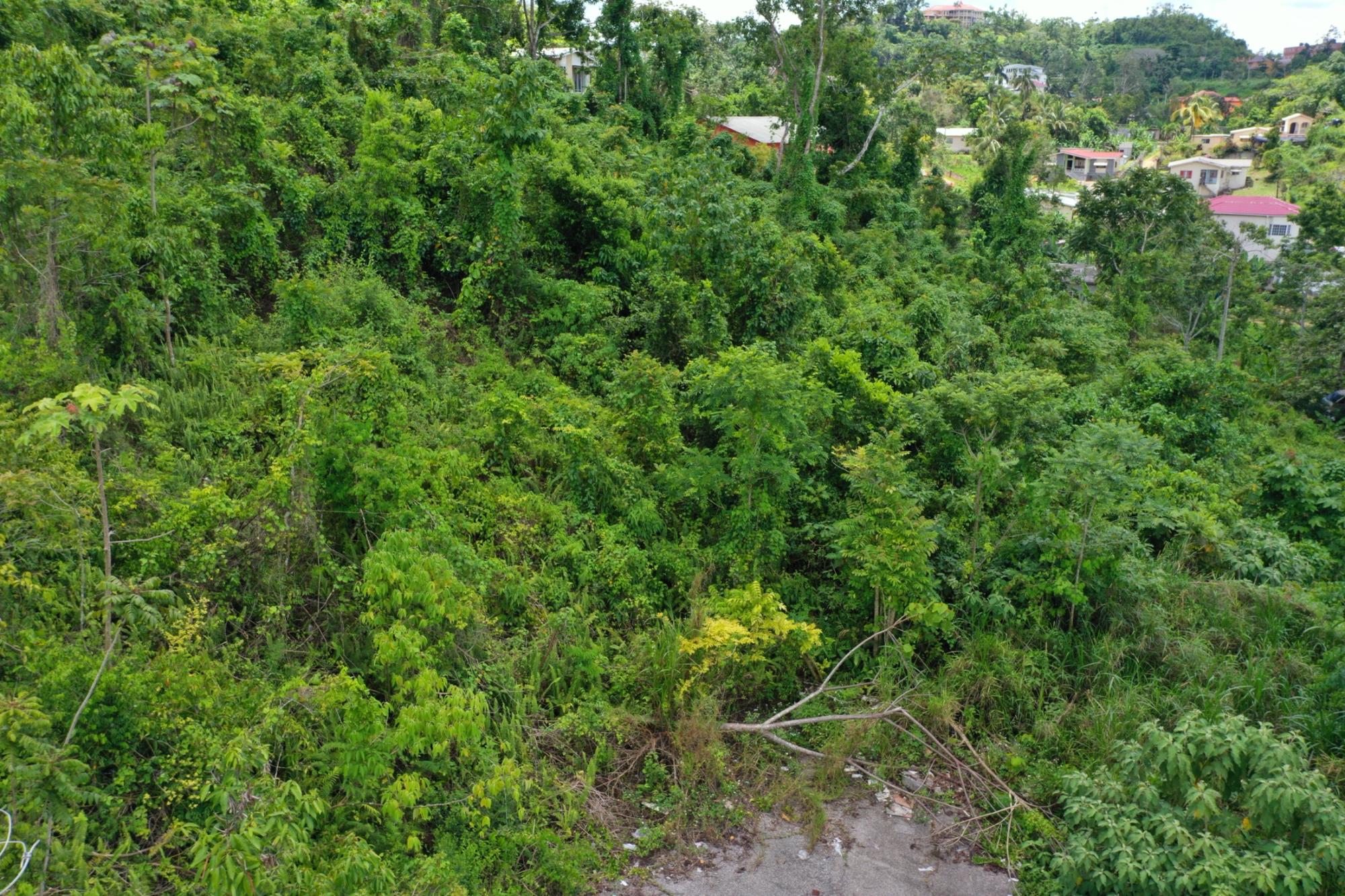 Property Image 18