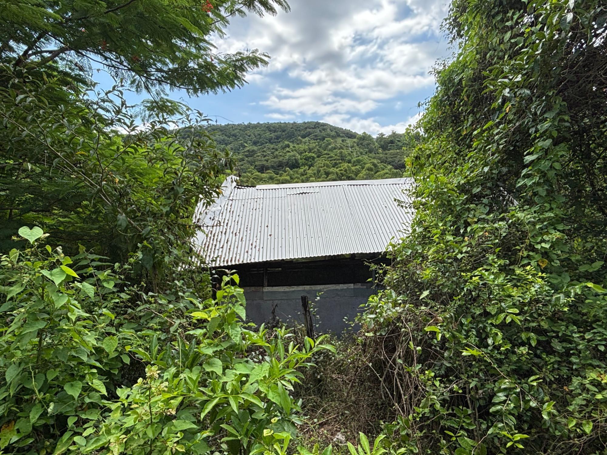 Property Image 26