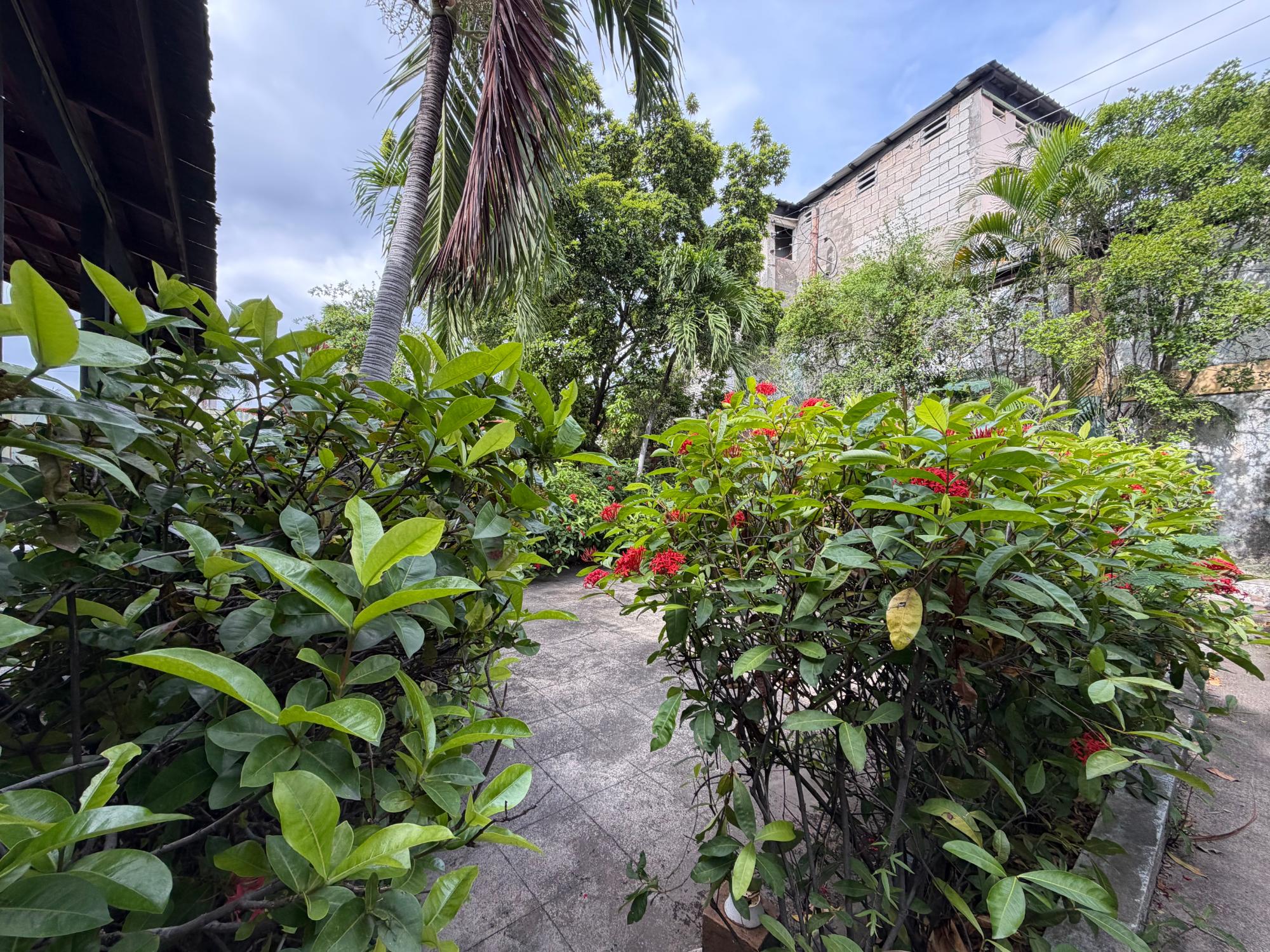 Property Image 28