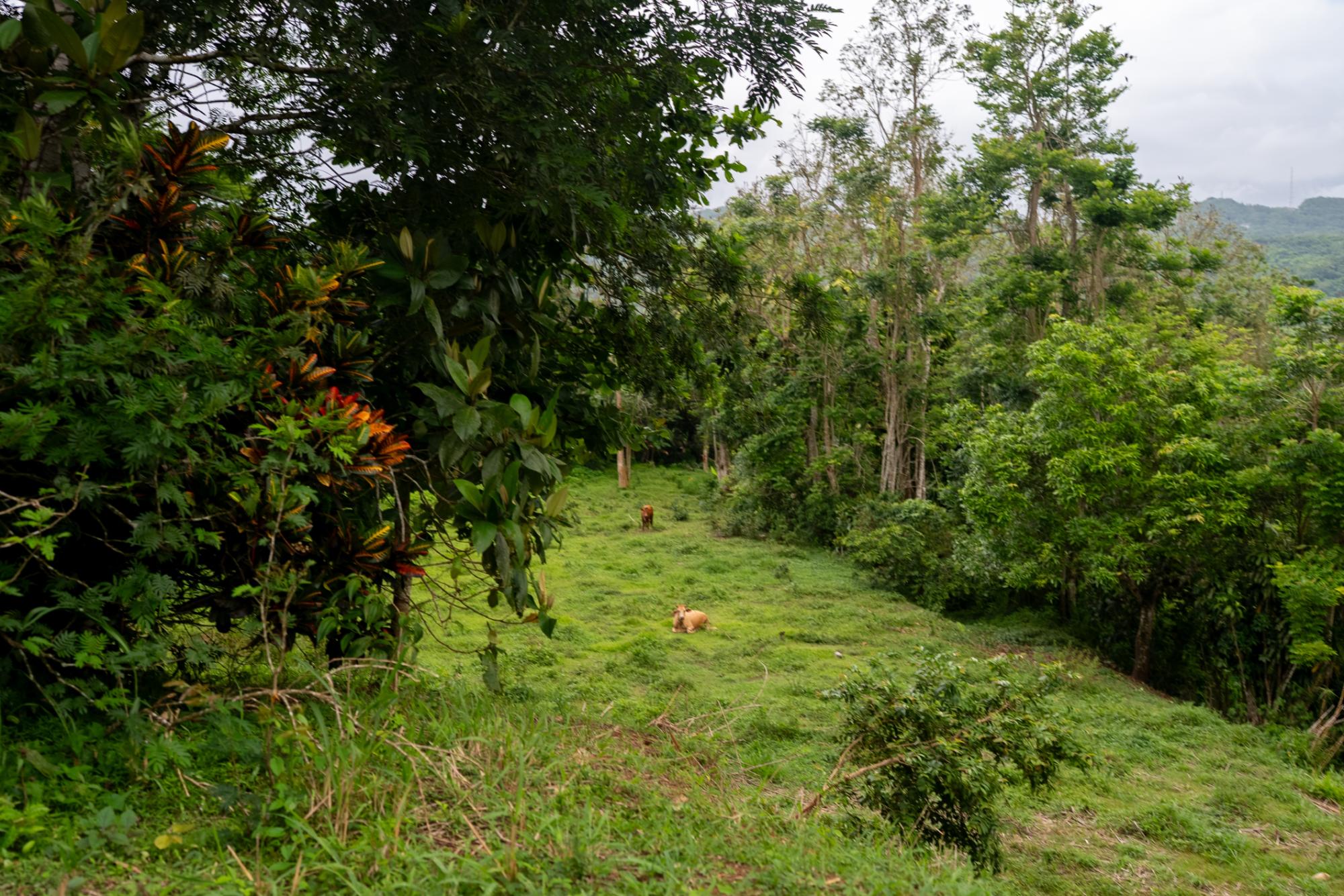 Property Image 22