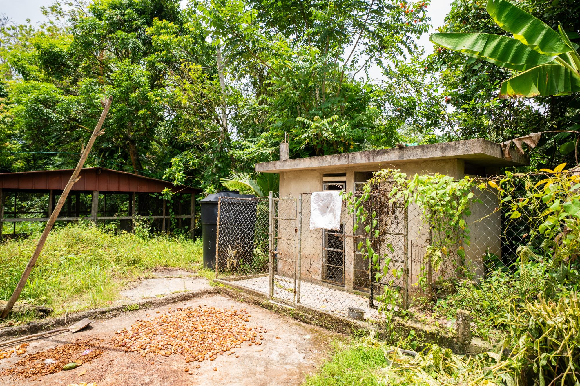 Property Image 37
