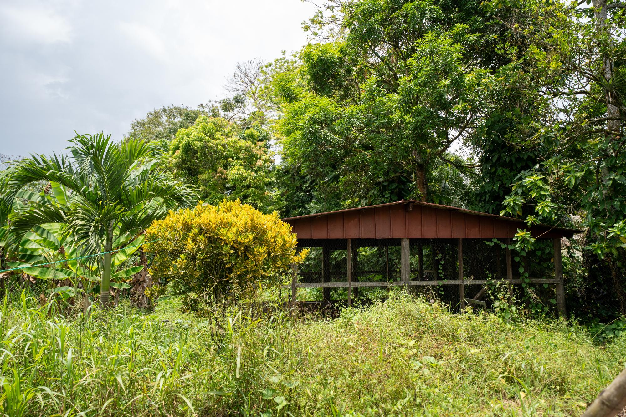Property Image 38