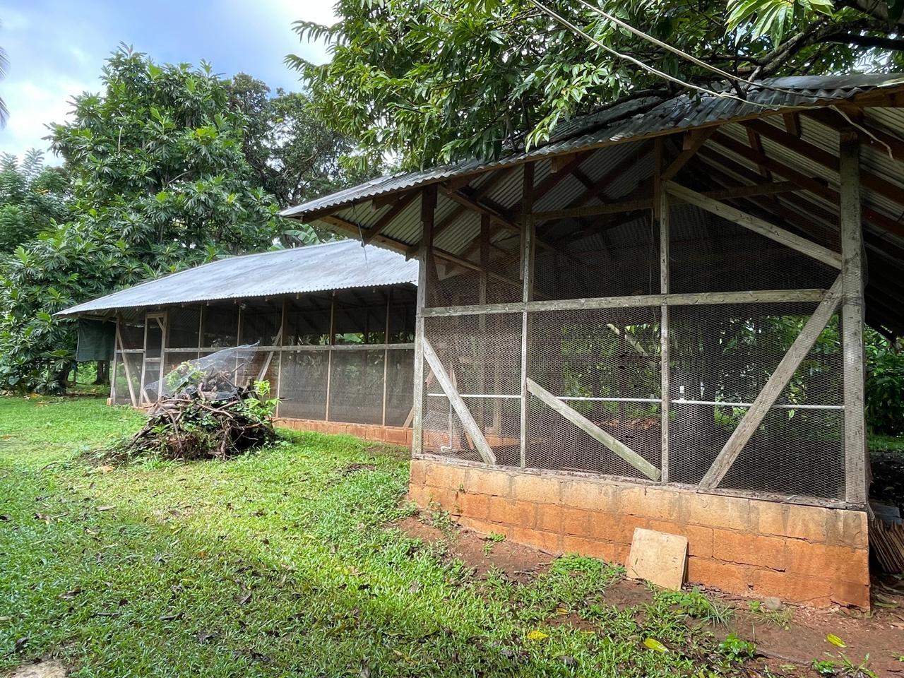 Property Image 61