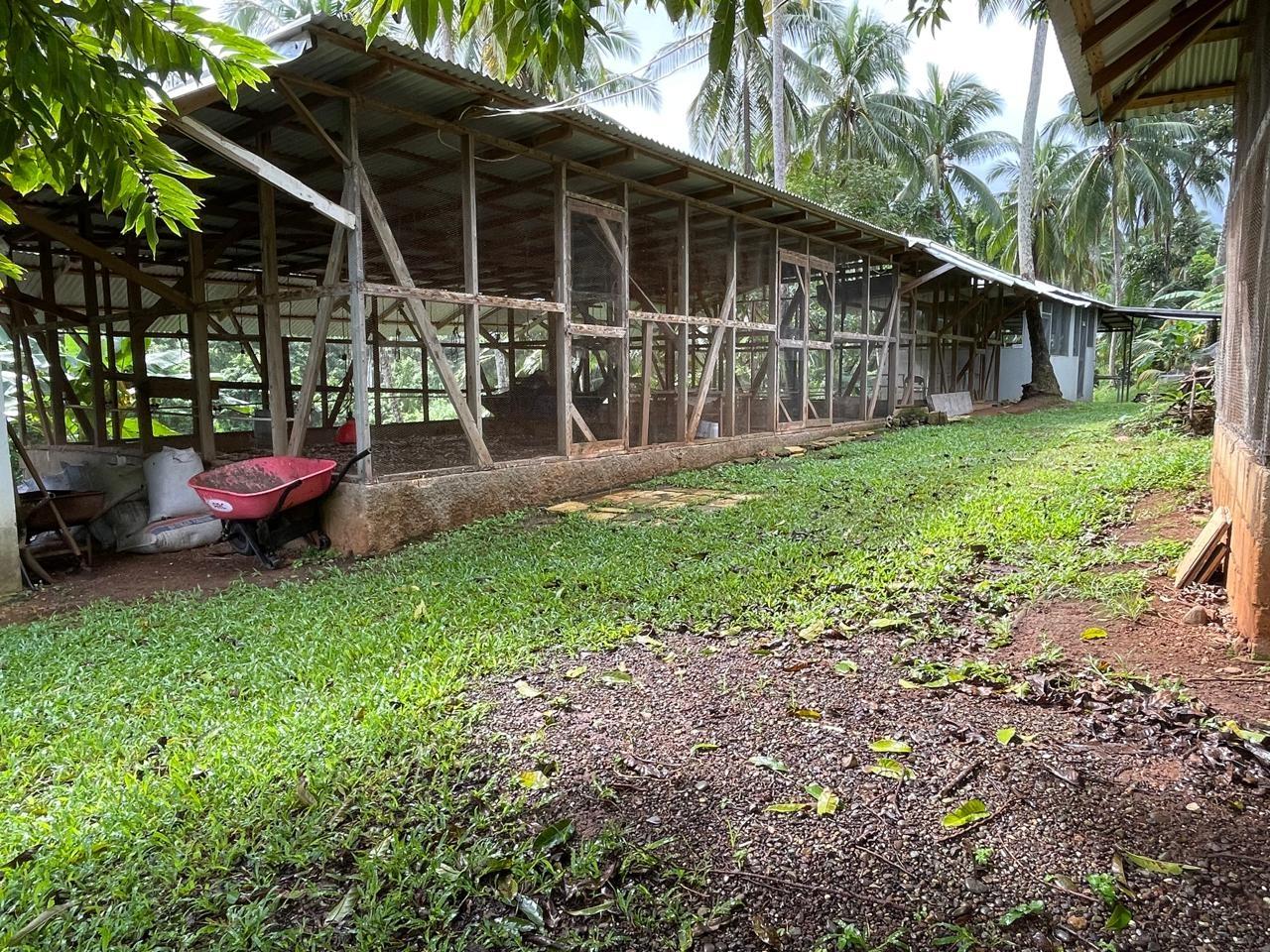Property Image 64