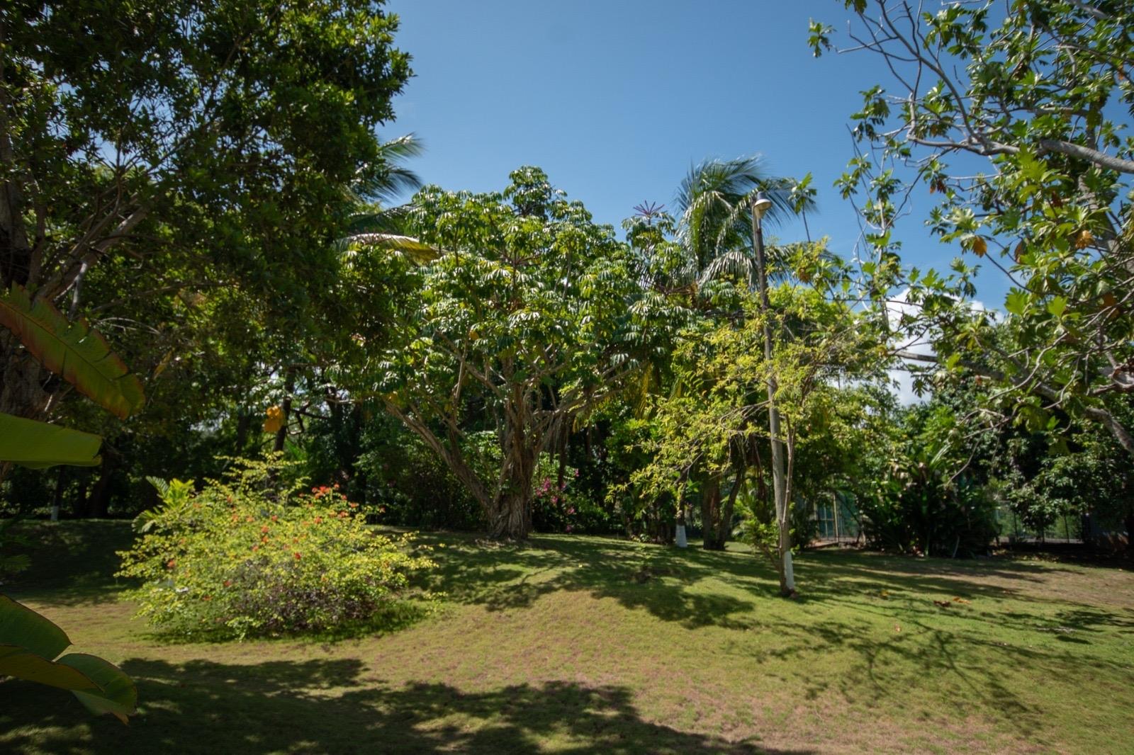 Property Image 34