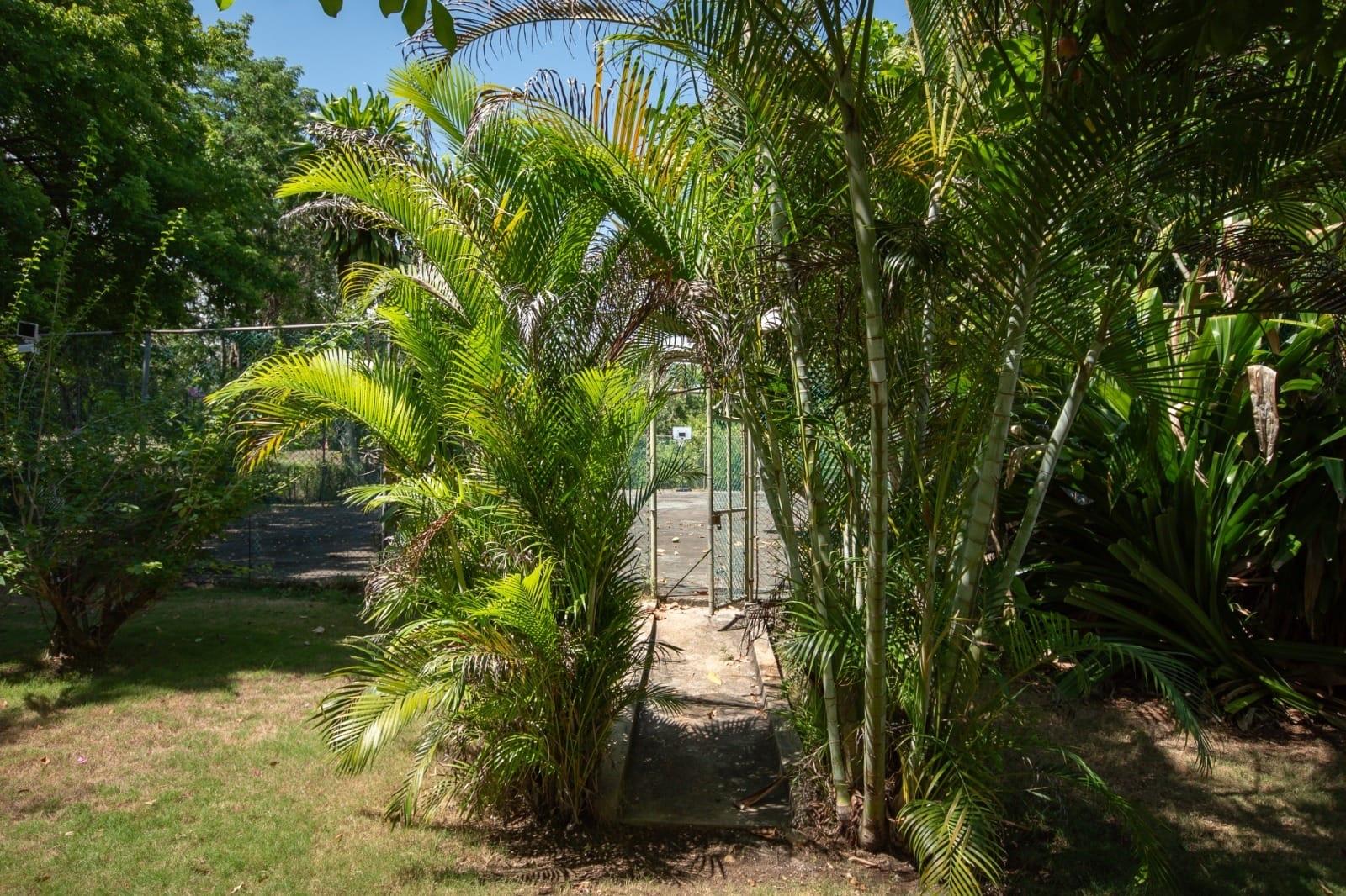 Property Image 35