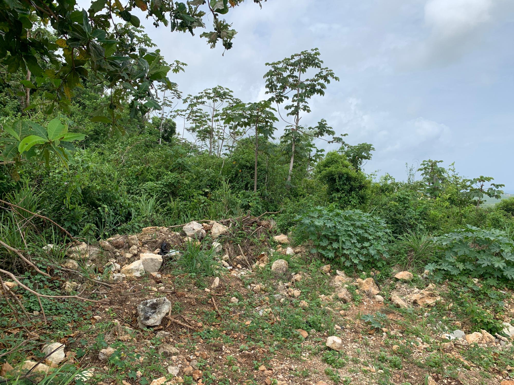 Property Image 11