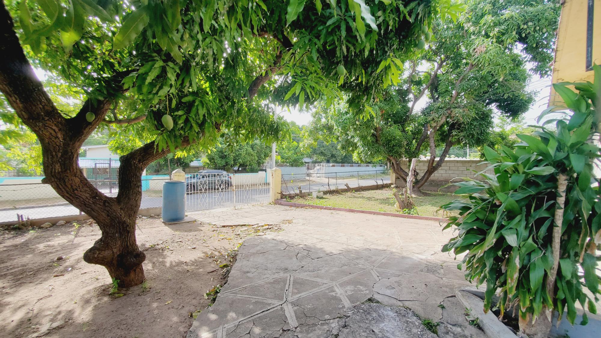 Property Image 43
