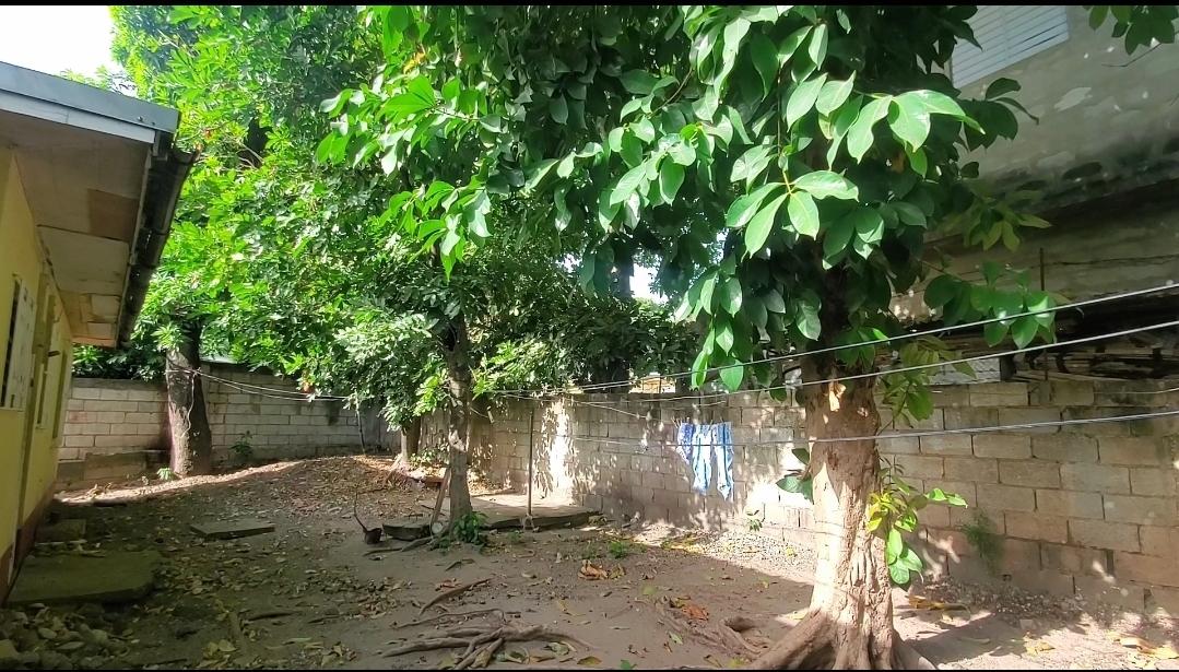 Property Image 55