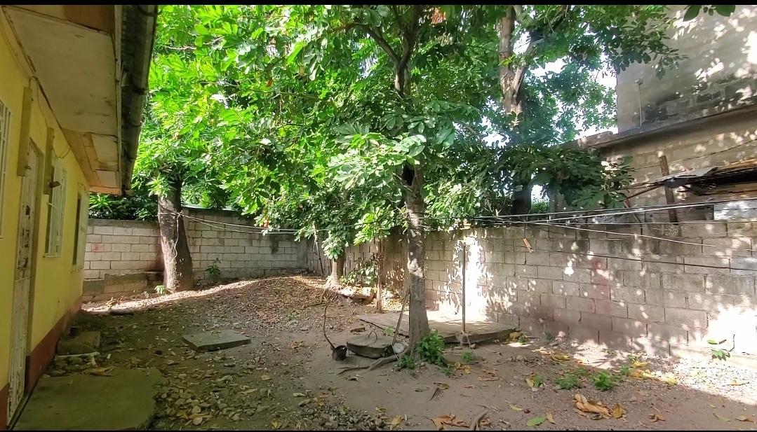 Property Image 56