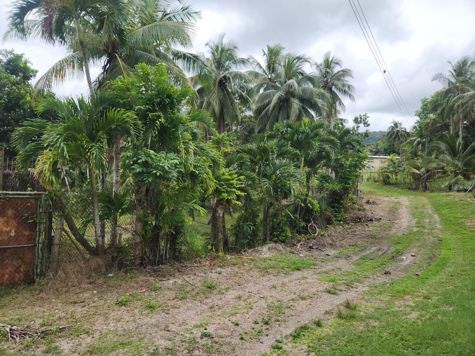 Property Image 6