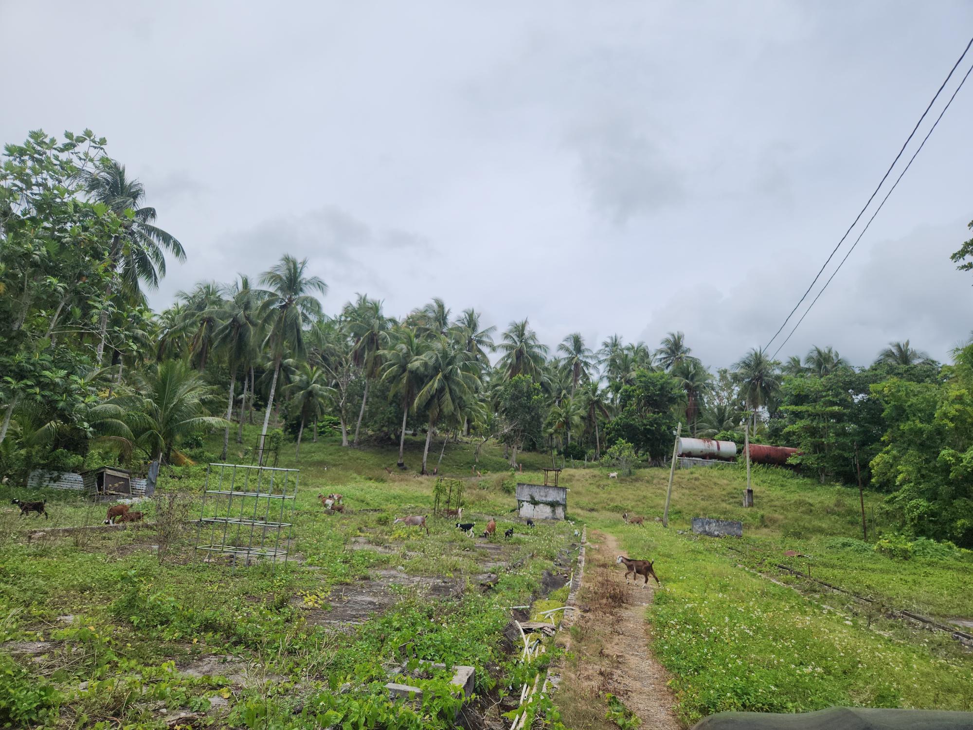 Property Image 9
