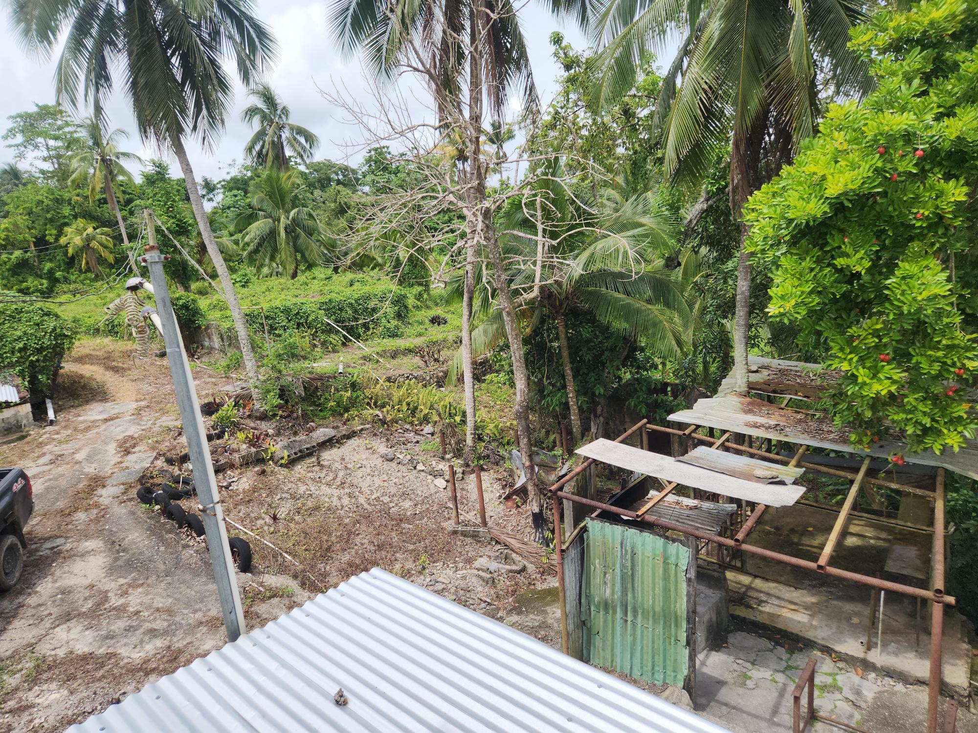 Property Image 14