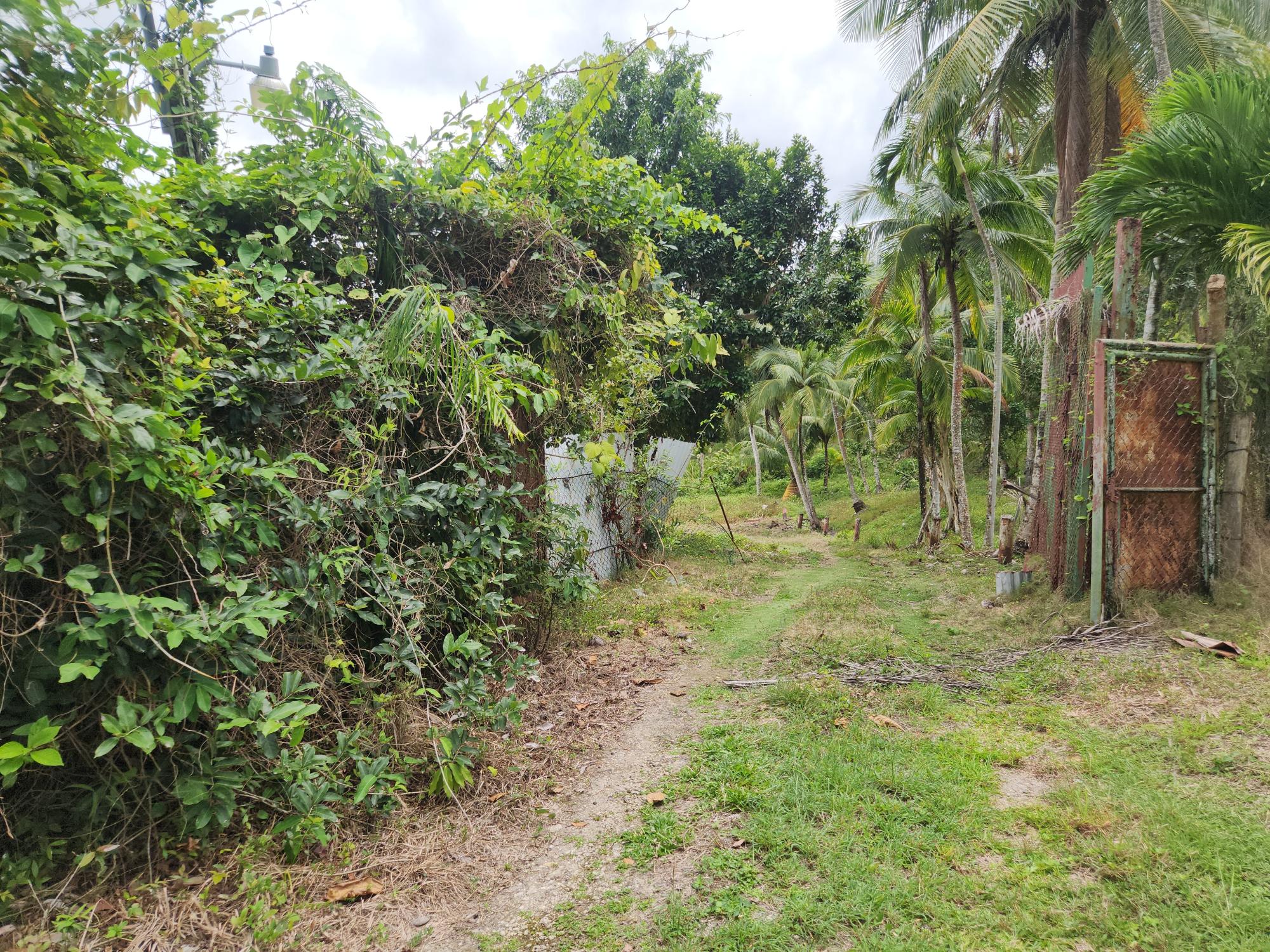 Property Image 19