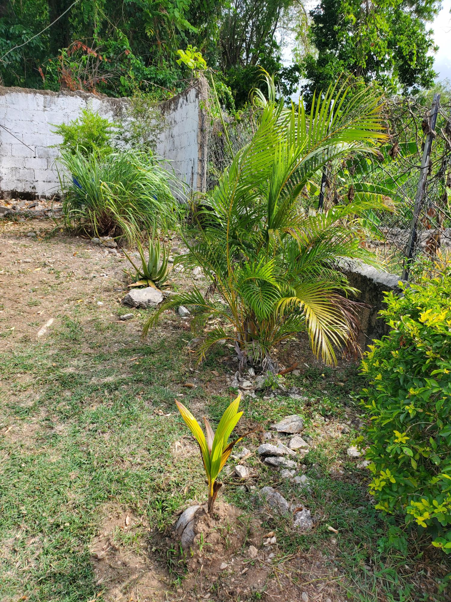 Property Image 42