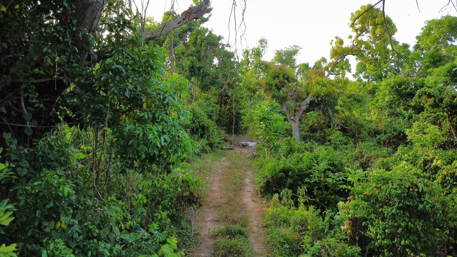 Property Image 6