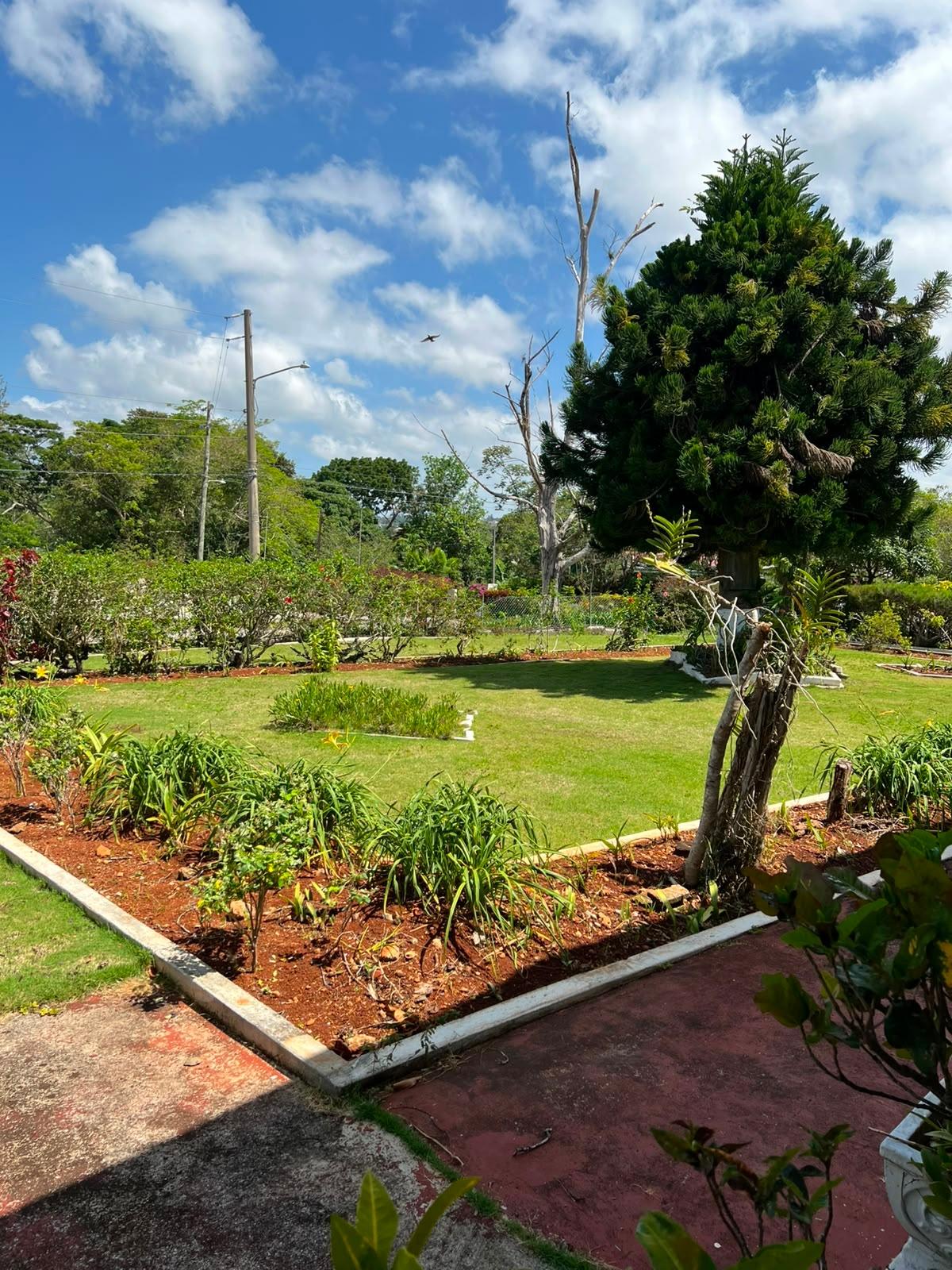 Property Image 58
