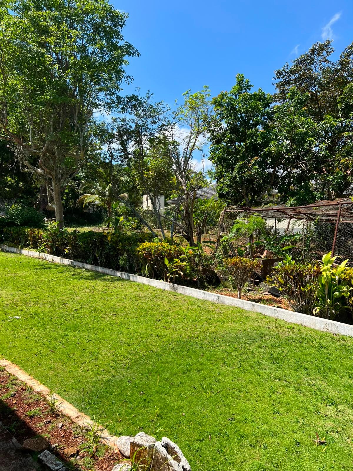 Property Image 59