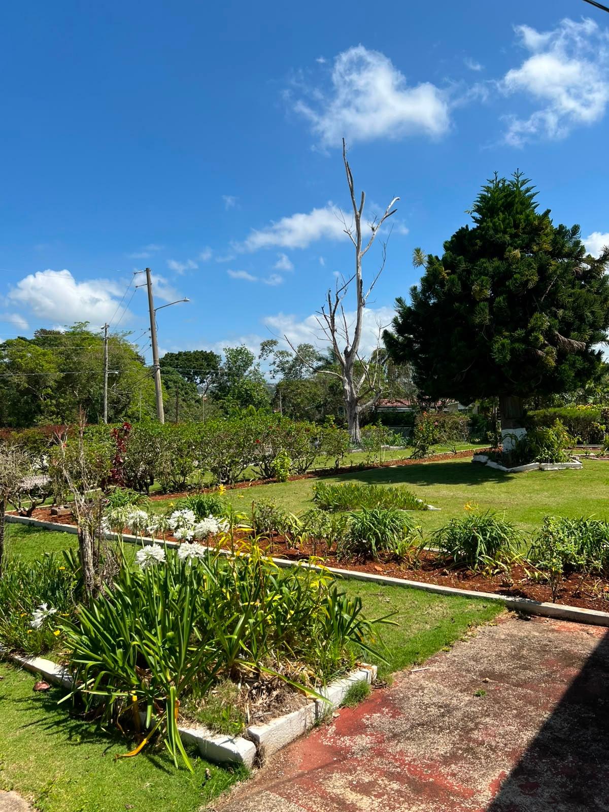 Property Image 61
