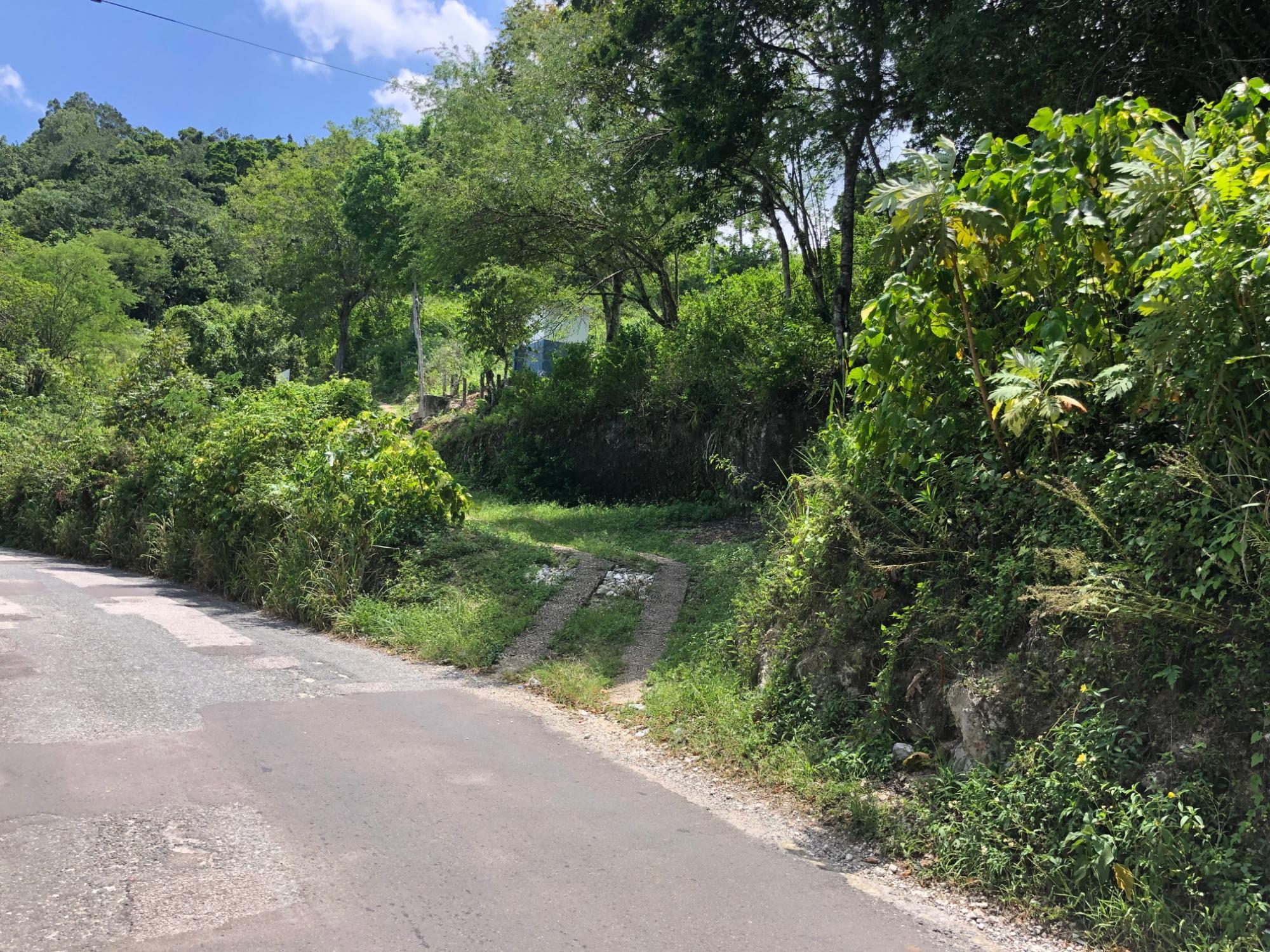 Property Image 25