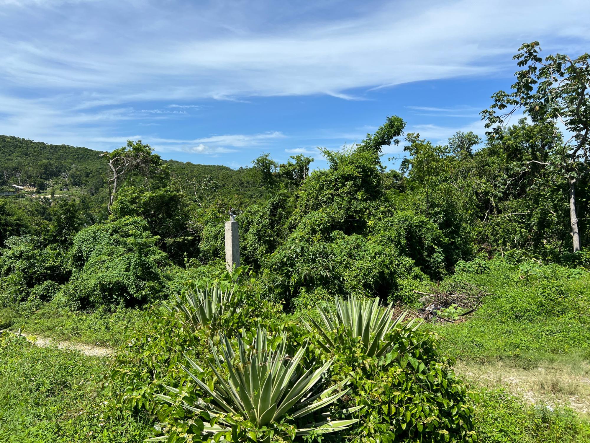 Property Image 11