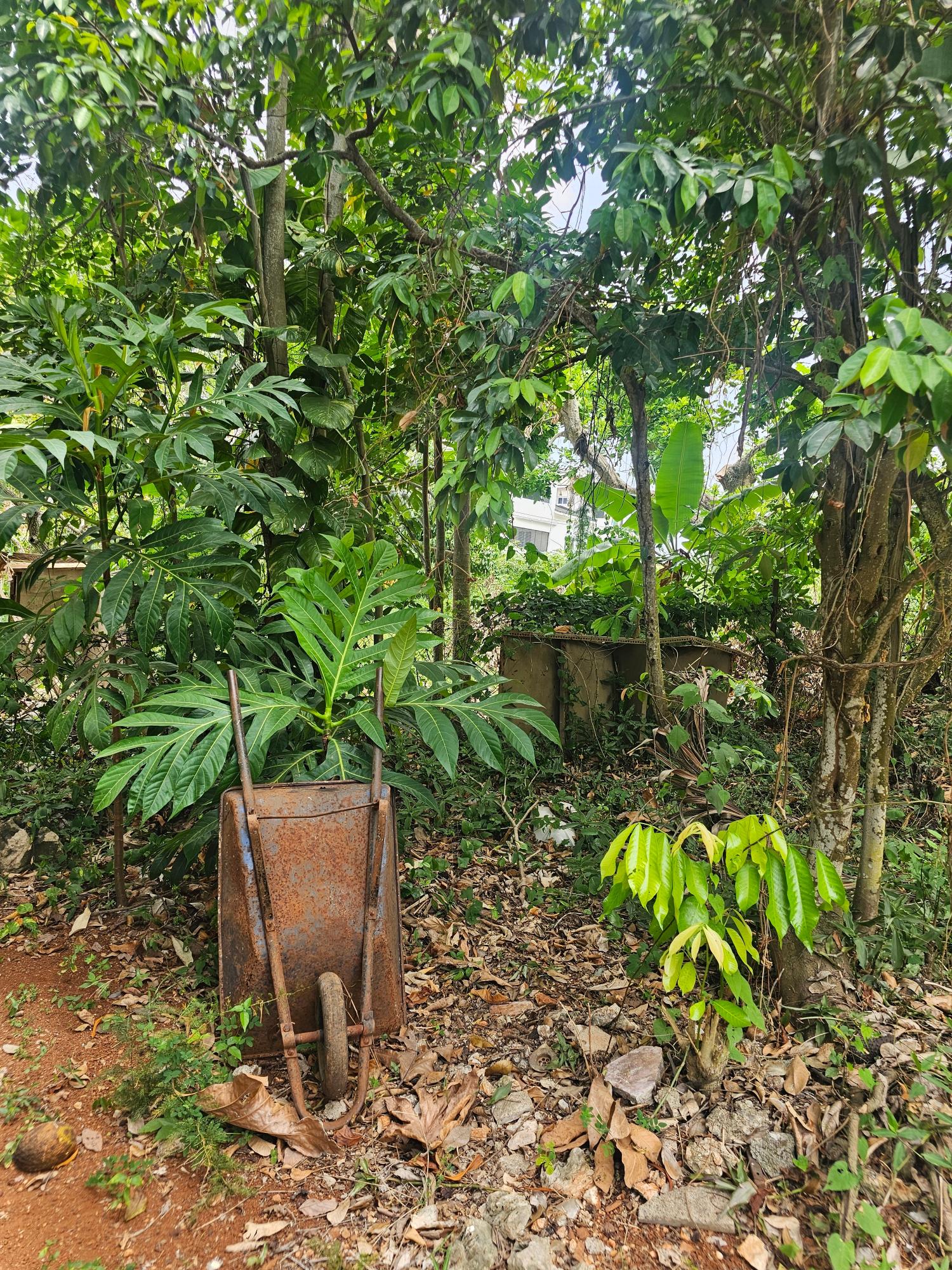 Property Image 13