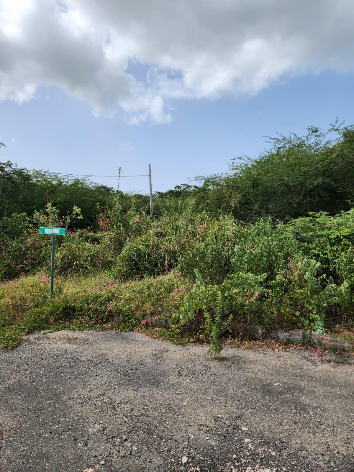 Property Image 33