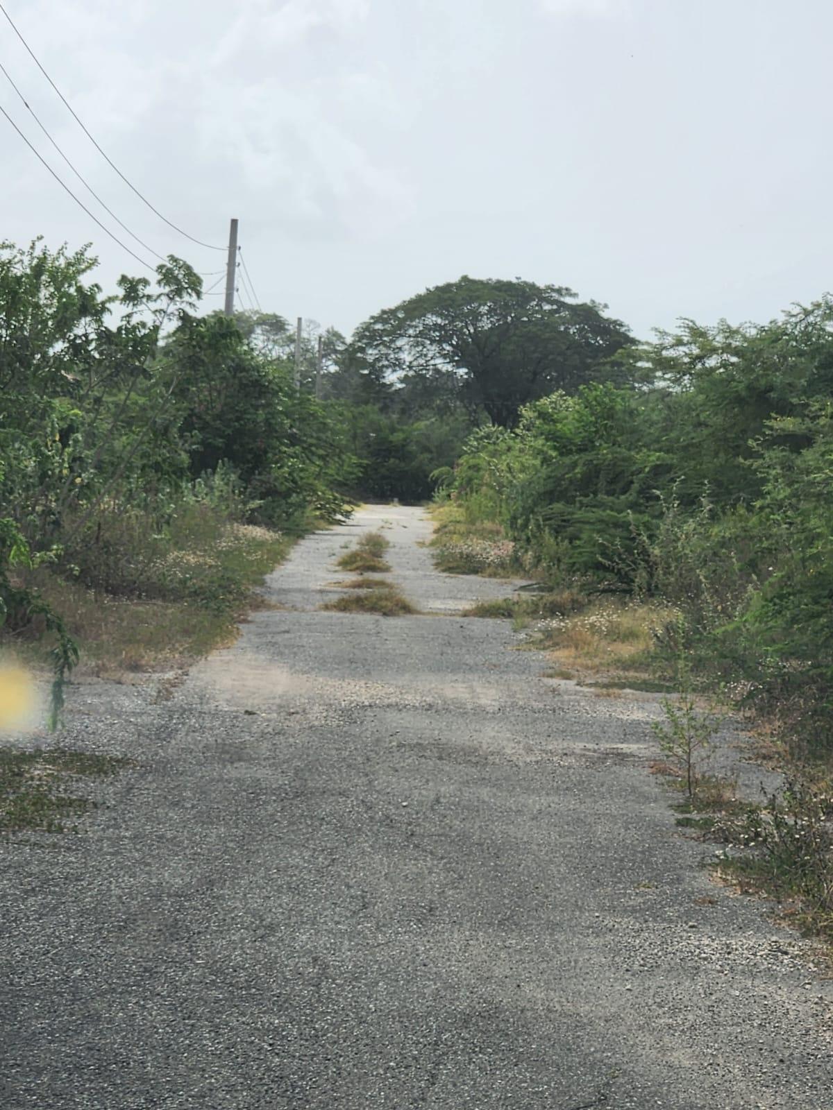Property Image 38
