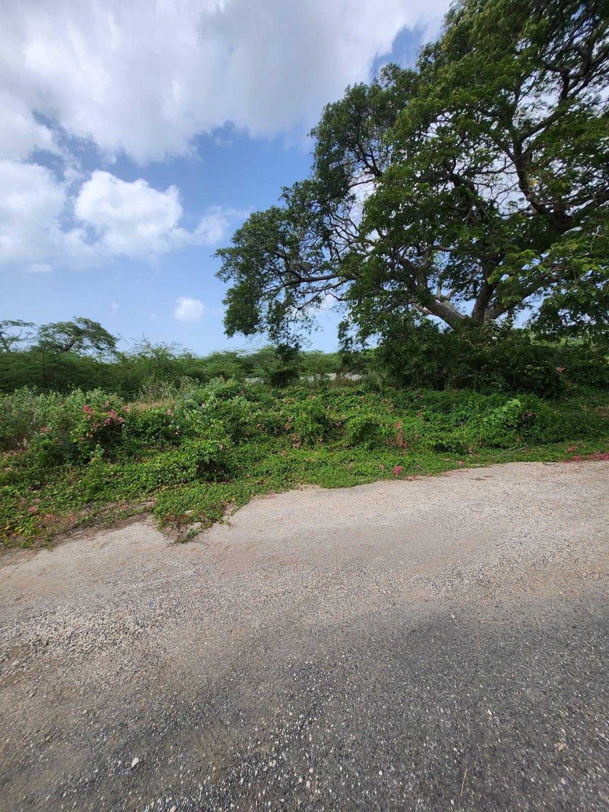 Property Image 45