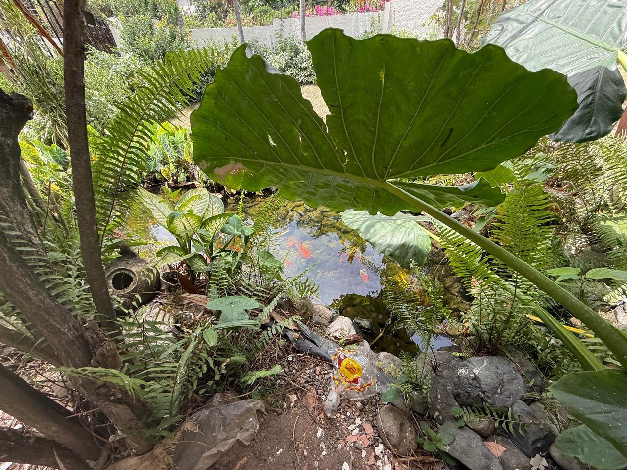 Property Image 18