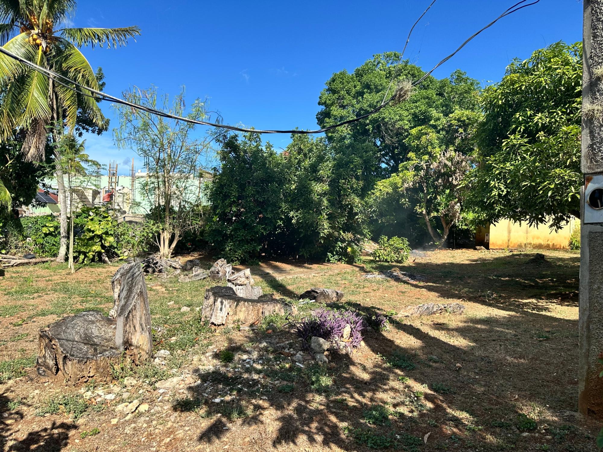 Property Image 62