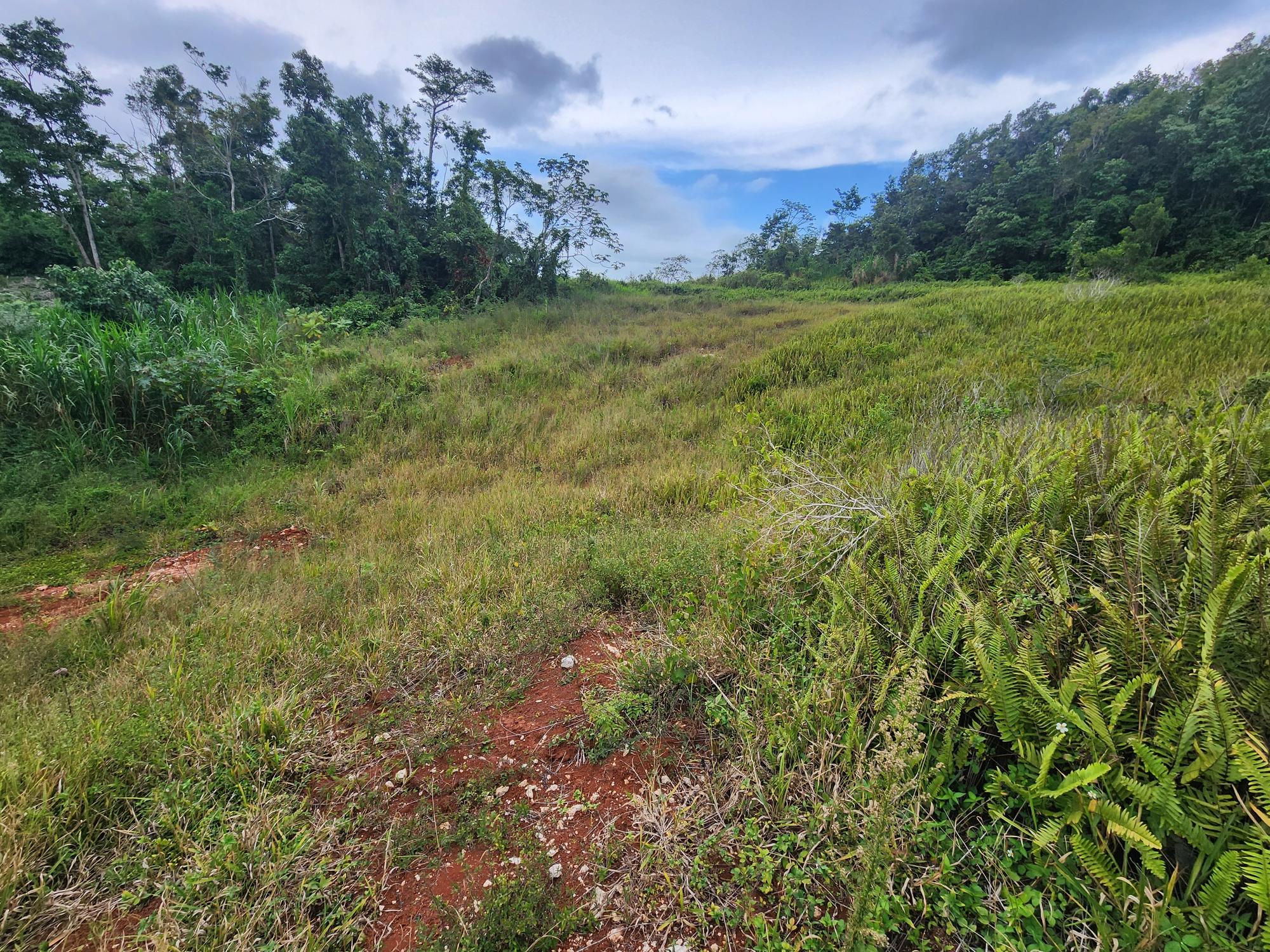 Property Image 14