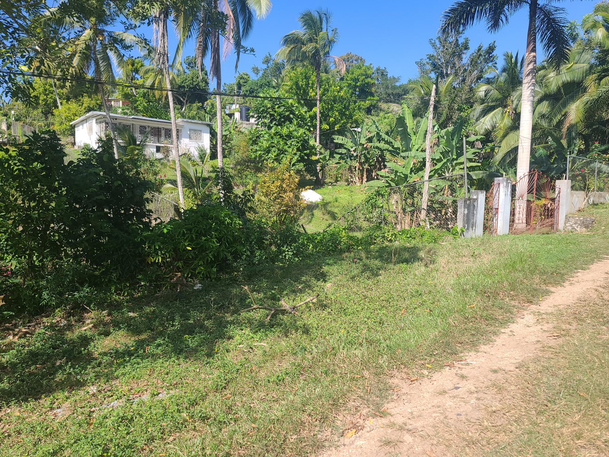 Property Image 10
