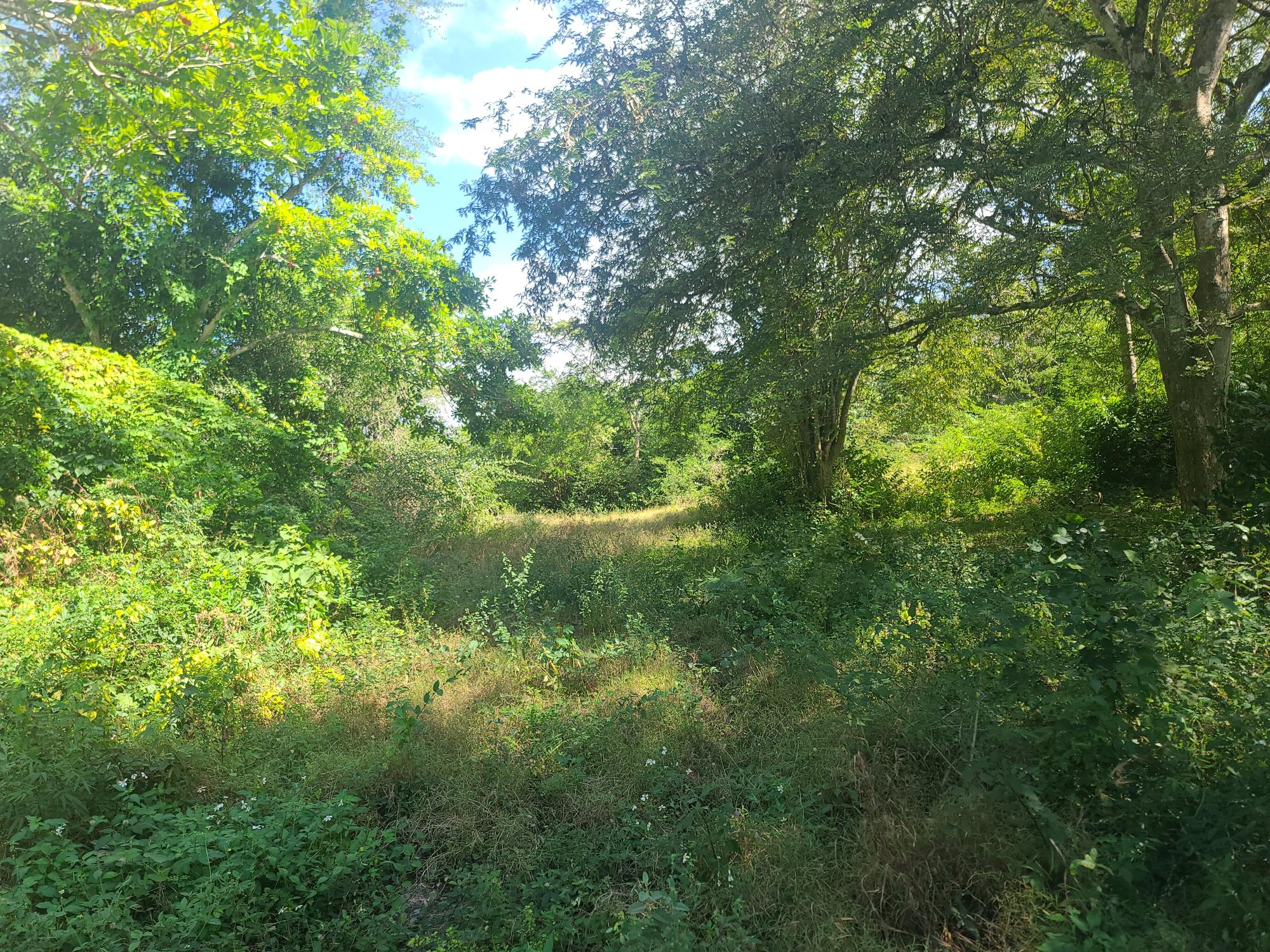 Property Image 23