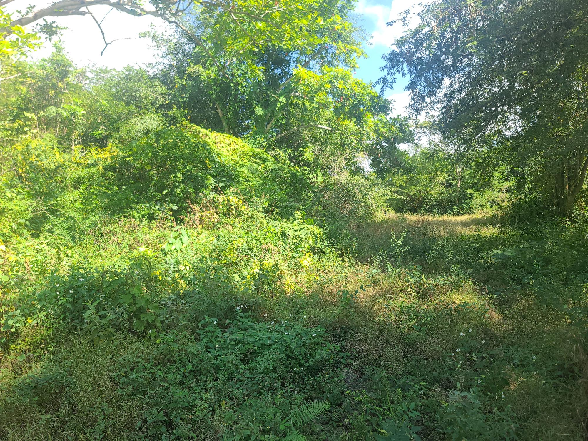 Property Image 24