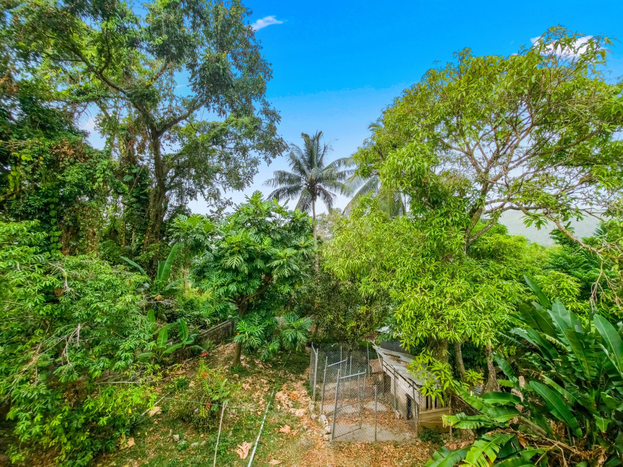 Property Image 16